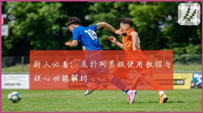 新人必看：虎扑网页版使用教程与核心功能解析