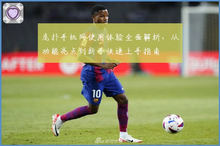 虎扑手机网使用体验全面解析，从功能亮点到新手快速上手指南