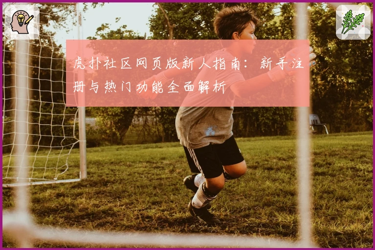 虎扑社区网页版新人指南：新手注册与热门功能全面解析