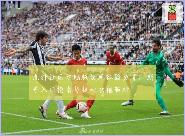 虎扑社区电脑版使用体验分享：新手入门指南与核心功能解析